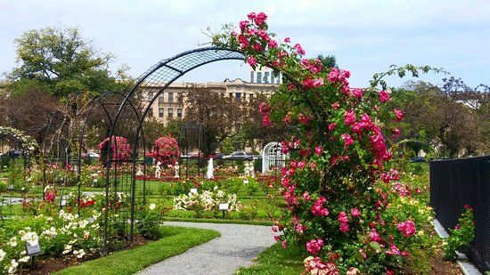 James P Kelleher Rose Garden